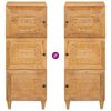 vidaXL Hochboard mit Tür Hellbraun 40 x 33 x 110 cm massives Mangoholz