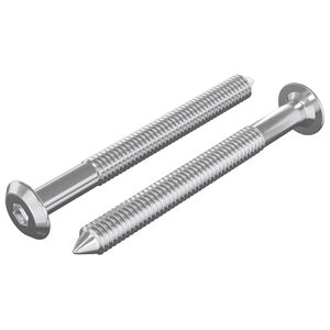 vidaXL M&ouml;bel-Schrauben 2 pcs Silber M6 x 60 mm Stahl