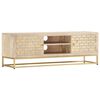 vidaXL TV-Schrank Golden 120x30x40 cm Massivholz Mango