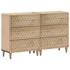 vidaXL Beistellschr&auml;nke 2 Stk. 60x33x75 cm Massivholz Mango