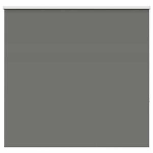 vidaXL Verdunkelungsrollo Grau 165x150cm Stoffbreite 161,6cm Polyester