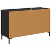 vidaXL Sideboard Schwarz Eichen-Optik 100 x 36 x 60 cm Holzwerkstoff