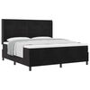 vidaXL Boxspringbett mit Matratze Schwarz 180 x 200 cm Samt