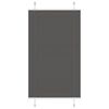vidaXL Plissee Schwarz 70x150 cm Stoffbreite 69,4 cm Polyester