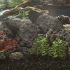 Produkt-Miniaturbild 2 von 5