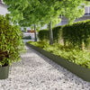 Olive_green