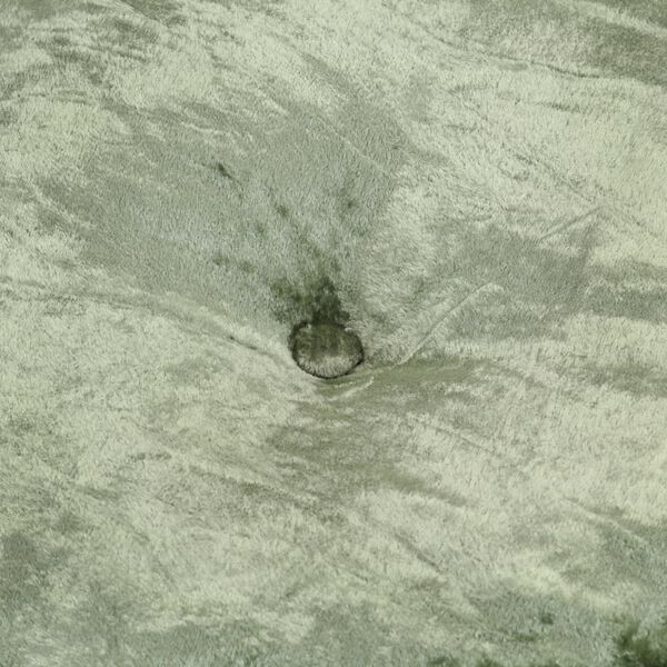 vidaXL Pouf Rund Samt 40x20 cm Grün