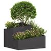 Produkt-Miniaturbild 3 von 12