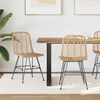 vidaXL Esszimmerstuhl 2 pcs Natur 44,5 x 55 x 85 cm Rattan und Eisen