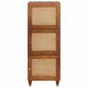 vidaXL Hoher Schrank Braun 40 x 33,5 x 110 cm