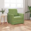 vidaXL Schlafsofa 60cm Hellgr&uuml;n Samt