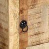vidaXL TV-Schrank 105x46x32 cm Raues Massivholz Mango