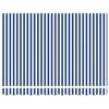 vidaXL Einziehbare Markise Blau und Wei&szlig; 300 x 200 cm