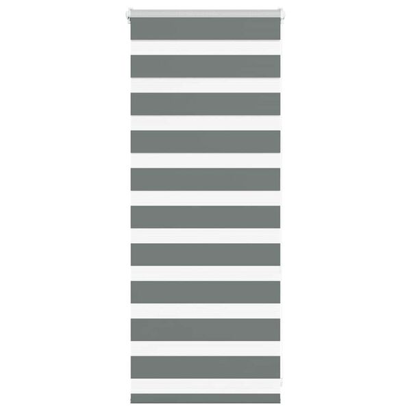 vidaXL Doppelrollo Dunkelgrau 65x100 cm Stoffbreite 60,9 cm Polyester