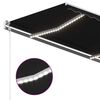 vidaXL Markise Manuell Einziehbar mit LED 3x2,5 m Anthrazit