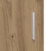 vidaXL Wandmontierter Schrank mit Regal Artisan-Eiche 55 x 29 x 100 cm