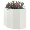 Produkt-Miniaturbild 3 von 12