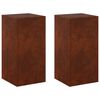 vidaXL Pflanzenst&auml;nder 2 pcs Rostoptik 30 x 30 x 60 cm Wetterfeststahl