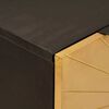 vidaXL Sideboard Schwarz und Gold 60 x 33 x 75 cm Massivholz Mango