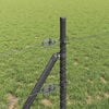 Produkt-Miniaturbild 4 von 17