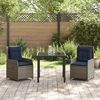 vidaXL Garten Essgruppe 3 pcs Grau Poly Rattan