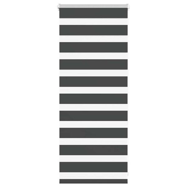 vidaXL Doppelrollo Schwarz 65x100 cm Stoffbreite 60,9 cm Polyester