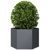 Produkt-Miniaturbild 3 von 10