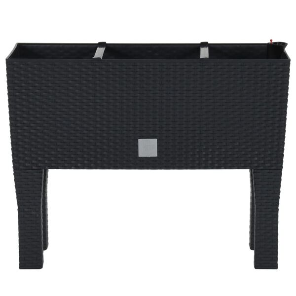 vidaXL Hochbeet Anthrazit 60x25x46 cm PP-Rattan