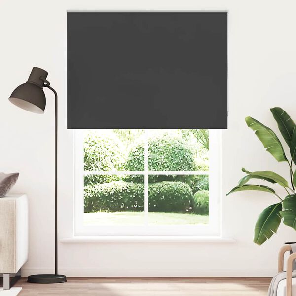 vidaXL Verdunkelungsrollo Schwarz 160x210 cm Stoffbreite 156,6 cm