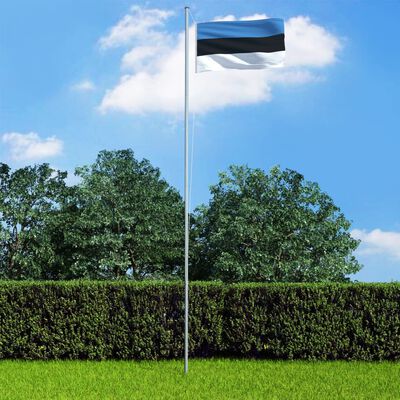vidaXL Flagge Estlands und Mast Aluminium 6,2 m