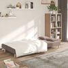 vidaXL Schlafsofa 2-Sitzer mit 2 Kissen Taupe Stoff