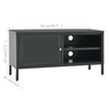vidaXL TV-Schrank Anthrazit 90x30x44 cm Stahl und Glas