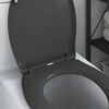 vidaXL Toilettensitz Anthrazit 44,8 x 37,3 x 4,2 cm Duroplast