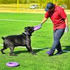 Ferplast Hunde-Spielring Puller Maxi Lila