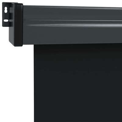 vidaXL Balkon-Seitenmarkise 122x250 cm Schwarz