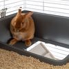 Produkt-Miniaturbild 8 von 20