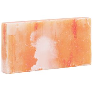 vidaXL Salzsteine 10 stk. Rosa 20 x 2,5 x 10 cm Steinsalz