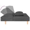 vidaXL Schlafsofa 2-Sitzer mit 2 Kissen Dunkelgrau Stoff