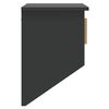 vidaXL Wandgarderobe mit Haken Schwarz 80x24x35,5 cm Holzwerkstoff