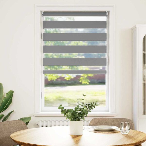 vidaXL Zebra-Rollo 50,9 x 100 cm, Stoffbreite 46,7 cm, grau