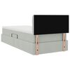 vidaXL Bett mit Stauraum und LED mit LED Hellgrau 100 x 200 cm Samt