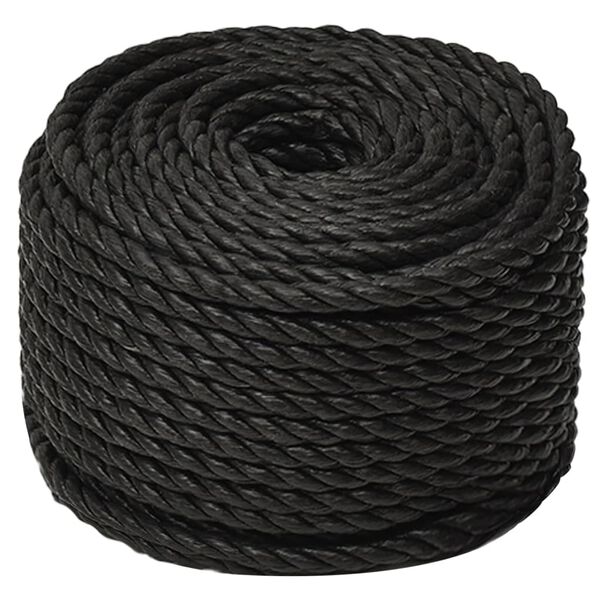 vidaXL Arbeitsseil Schwarz 12 mm 100 m Polypropylen