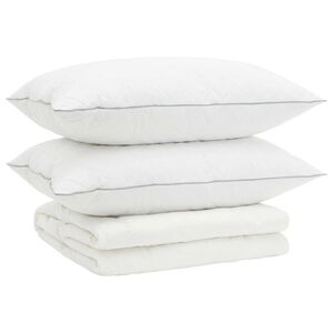 vidaXL G&auml;nsedaunen-Bettdecken-Set 90% FULDA 3 stk. 200 x 200 cm Sommer
