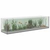 vidaXL Aquarium mit Speicher Transparent 80 x 20 x 20 cm Glas