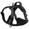 vidaXL Hundegeschirr mit Leine & Halsband Verstellbar Schwarz XL