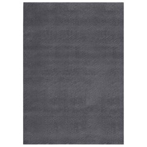 vidaXL Teppich Waschbar Flauschig Kurzflor 160x230 Rutschfest Anthrazi