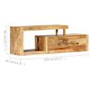 vidaXL TV-Schrank 120x30x40 cm Massivholz Mango