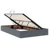 vidaXL Bett mit Stauraum und LED mit LED Dunkelgrau 120 x 190 cm Samt