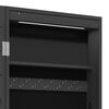 vidaXL Spiegel-Schmuckschrank mit LED-Beleuchtung Wandmontage Schwarz