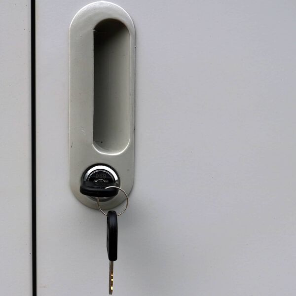 vidaXL Schlie&szlig;fachschrank Grau 45 x 90 x 180 cm